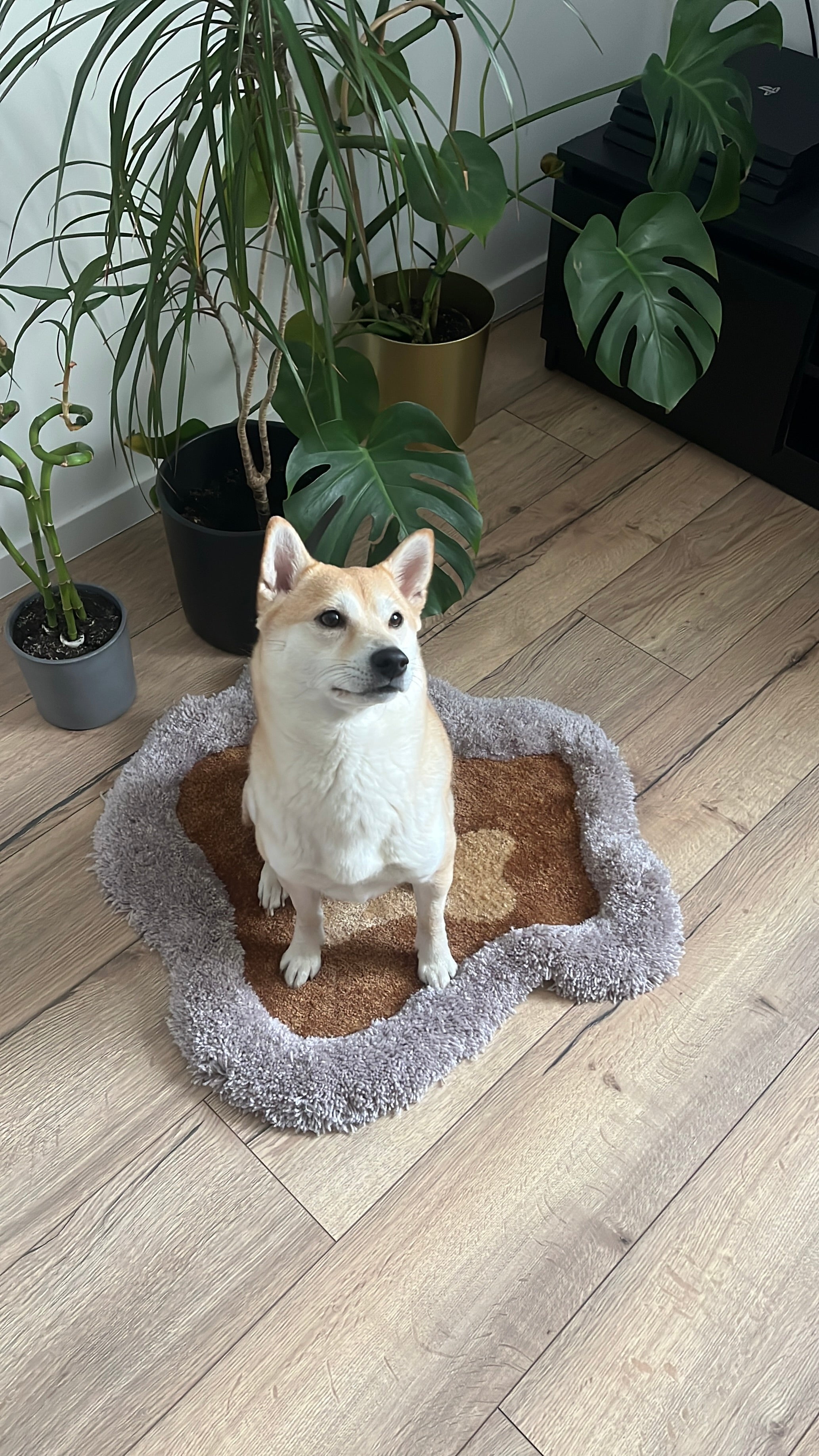 Posłanie dla zwierzaka - Rugsly