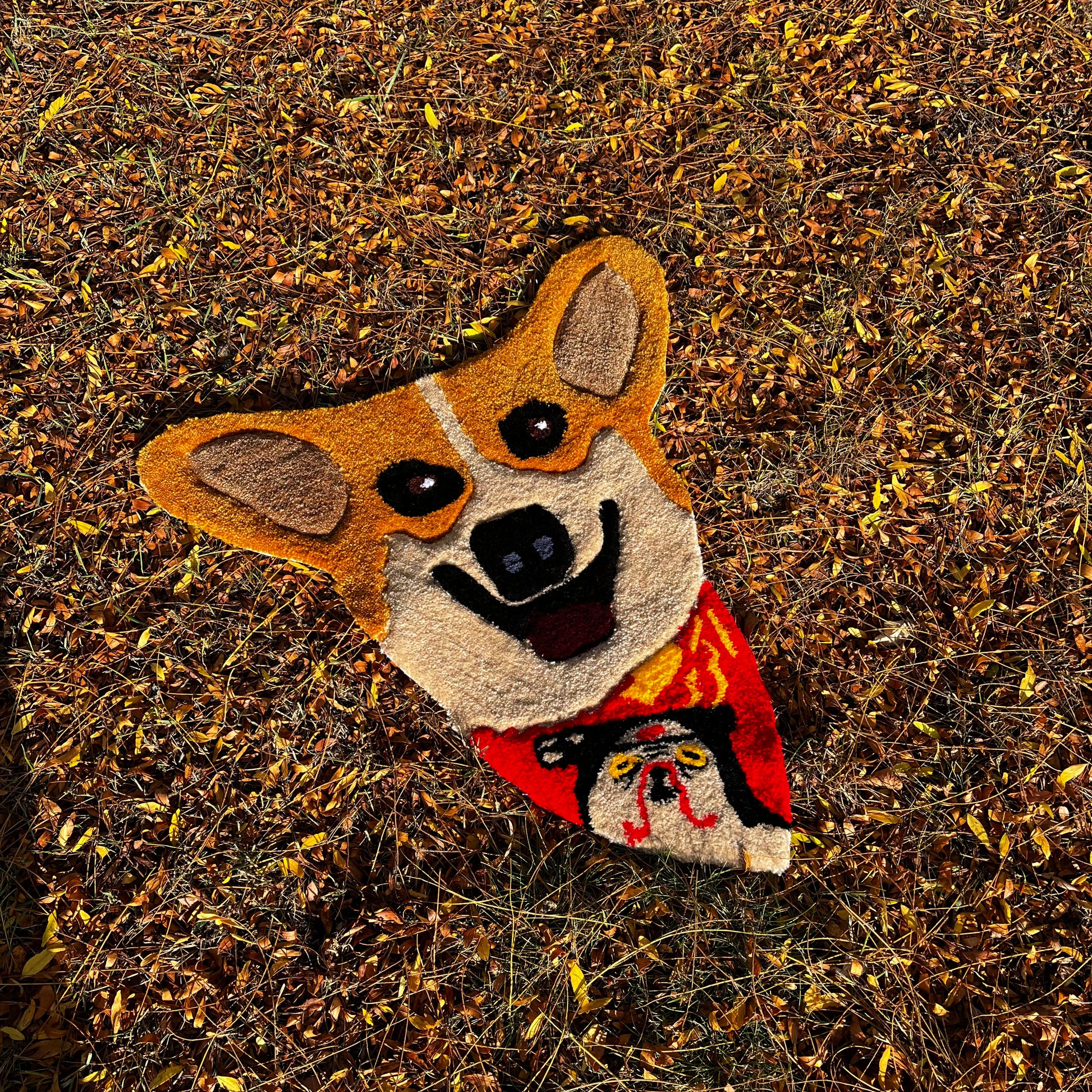 Dywan z twoim pupilem - Rugsly
