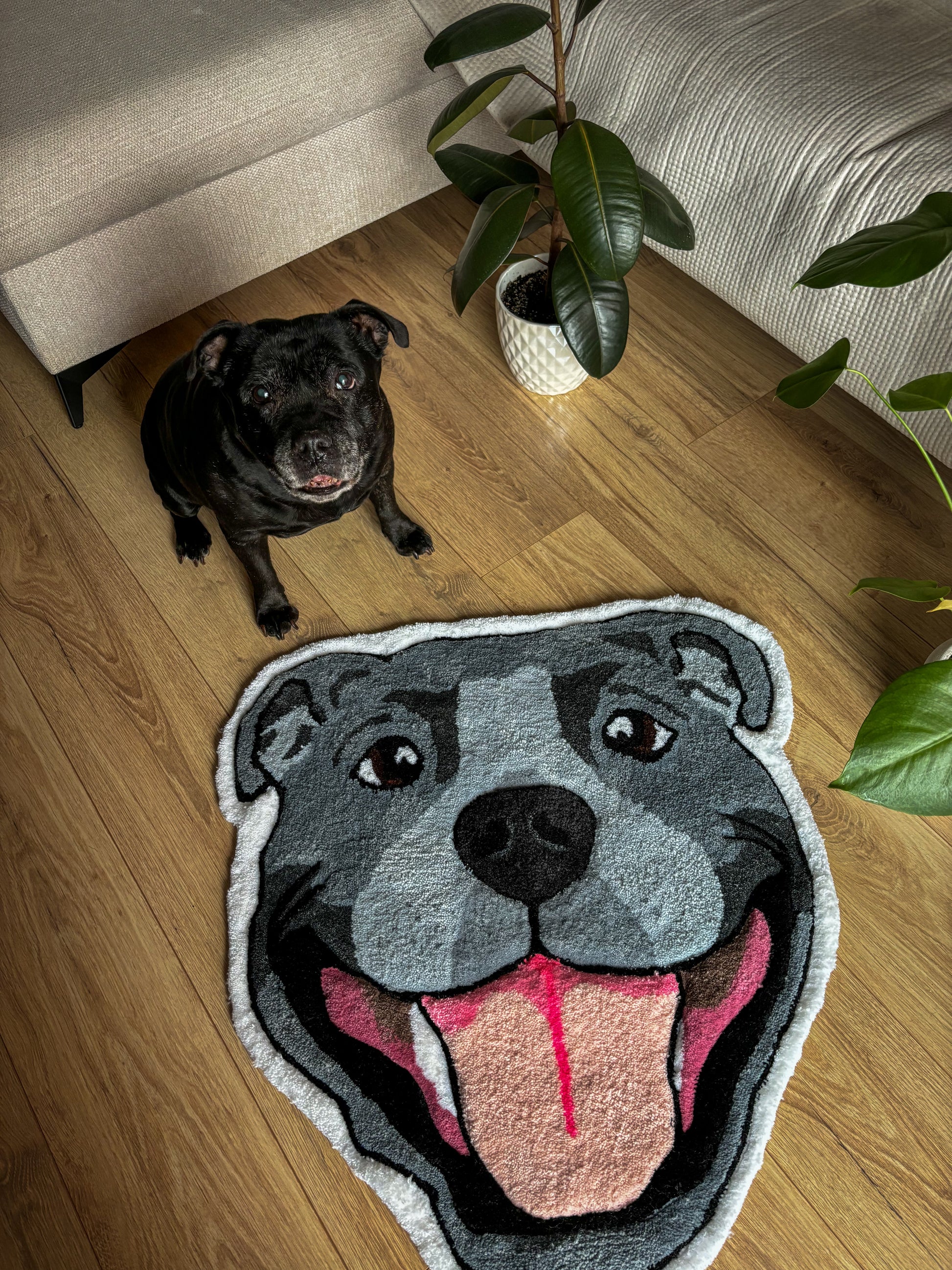 Dywan z twoim pupilem - Rugsly